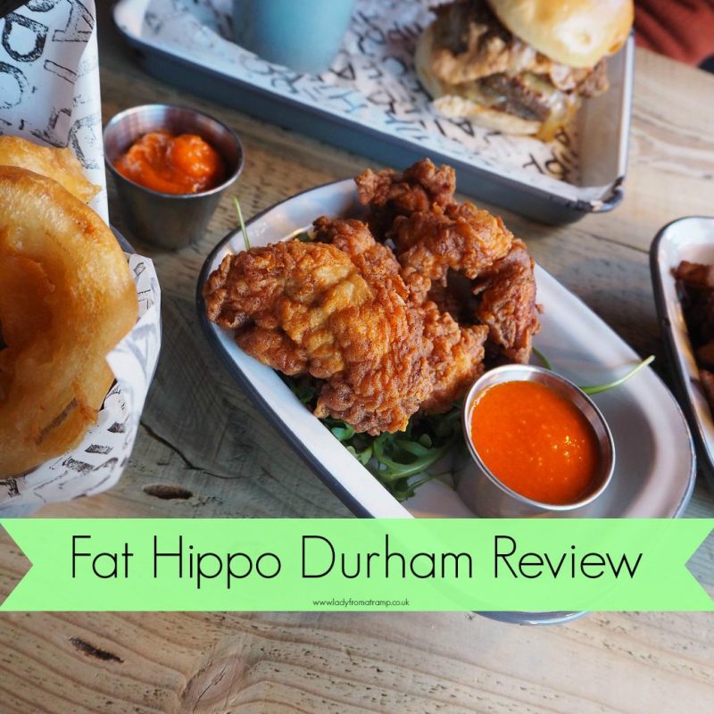 Fat Hippo Durham Review